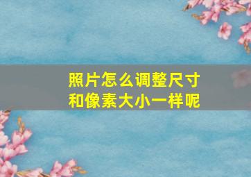 照片怎么调整尺寸和像素大小一样呢