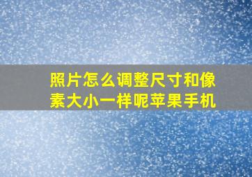 照片怎么调整尺寸和像素大小一样呢苹果手机