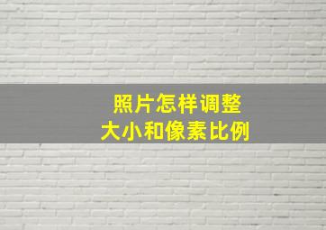 照片怎样调整大小和像素比例