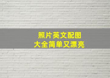 照片英文配图大全简单又漂亮