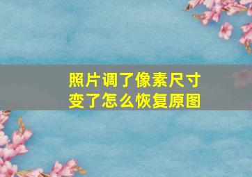 照片调了像素尺寸变了怎么恢复原图