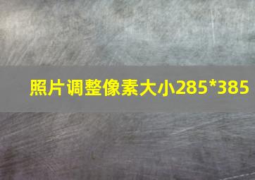 照片调整像素大小285*385