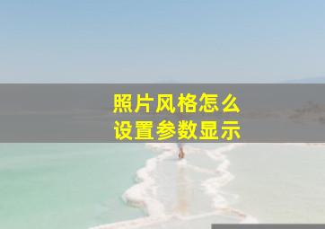 照片风格怎么设置参数显示