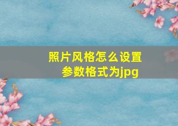 照片风格怎么设置参数格式为jpg