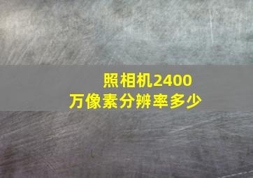 照相机2400万像素分辨率多少