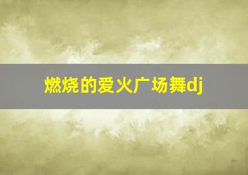 燃烧的爱火广场舞dj