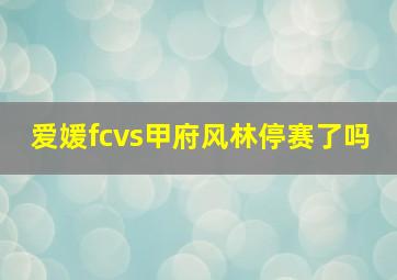 爱媛fcvs甲府风林停赛了吗