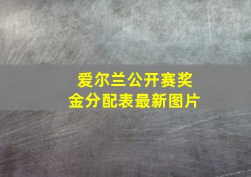 爱尔兰公开赛奖金分配表最新图片