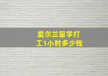 爱尔兰留学打工1小时多少钱