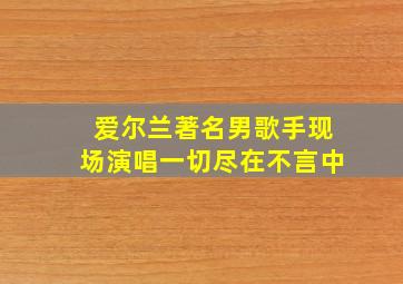 爱尔兰著名男歌手现场演唱一切尽在不言中