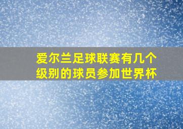 爱尔兰足球联赛有几个级别的球员参加世界杯