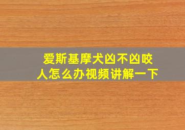 爱斯基摩犬凶不凶咬人怎么办视频讲解一下