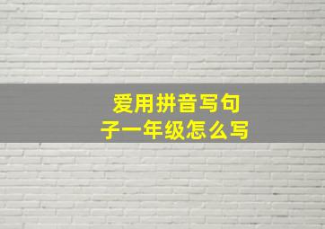 爱用拼音写句子一年级怎么写