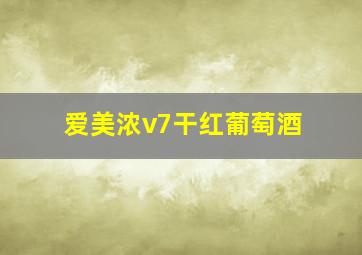 爱美浓v7干红葡萄酒