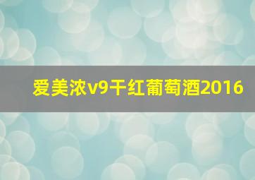 爱美浓v9干红葡萄酒2016