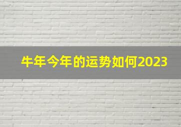 牛年今年的运势如何2023