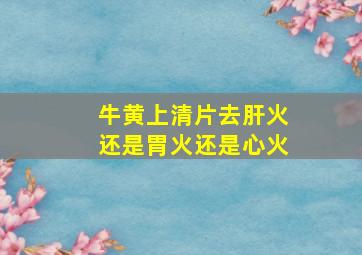 牛黄上清片去肝火还是胃火还是心火