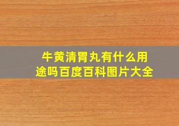 牛黄清胃丸有什么用途吗百度百科图片大全