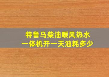 特鲁马柴油暖风热水一体机开一天油耗多少