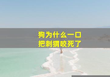 狗为什么一口把刺猬咬死了