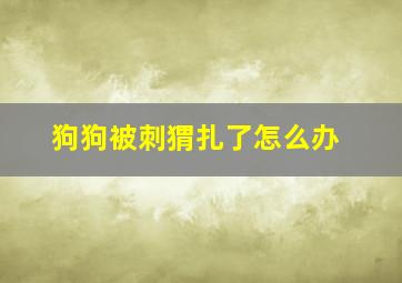 狗狗被刺猬扎了怎么办