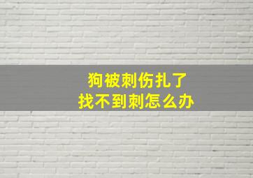 狗被刺伤扎了找不到刺怎么办