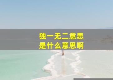 独一无二意思是什么意思啊