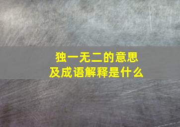 独一无二的意思及成语解释是什么