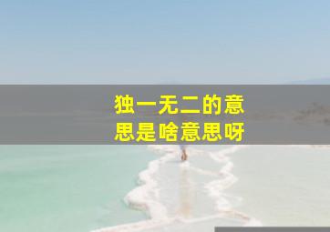 独一无二的意思是啥意思呀