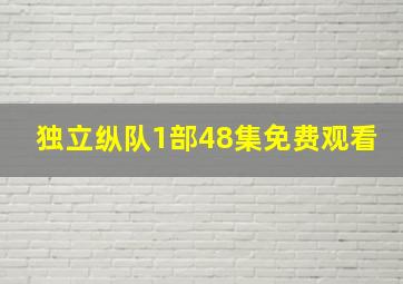 独立纵队1部48集免费观看