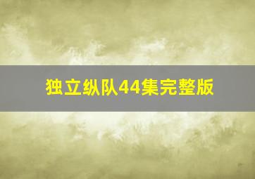 独立纵队44集完整版