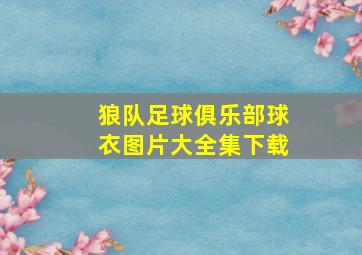 狼队足球俱乐部球衣图片大全集下载