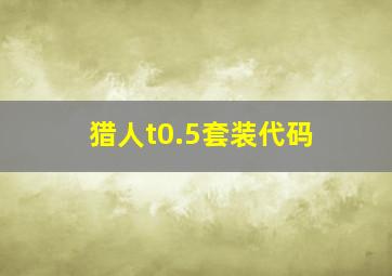 猎人t0.5套装代码