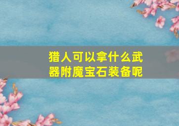 猎人可以拿什么武器附魔宝石装备呢