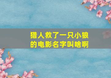 猎人救了一只小狼的电影名字叫啥啊