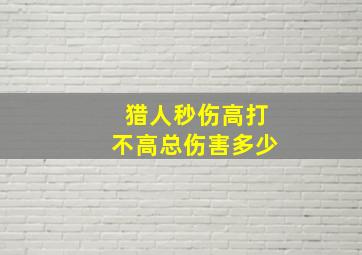 猎人秒伤高打不高总伤害多少