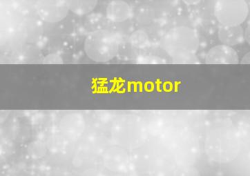 猛龙motor