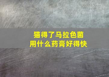 猫得了马拉色菌用什么药膏好得快