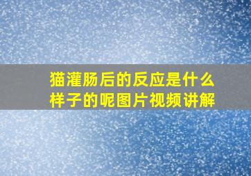 猫灌肠后的反应是什么样子的呢图片视频讲解