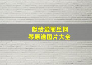 献给爱丽丝钢琴原谱图片大全