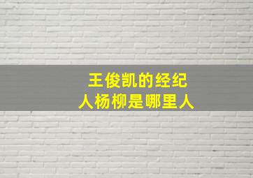 王俊凯的经纪人杨柳是哪里人