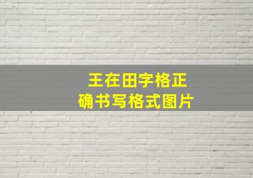 王在田字格正确书写格式图片