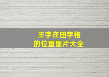 王字在田字格的位置图片大全