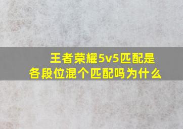 王者荣耀5v5匹配是各段位混个匹配吗为什么