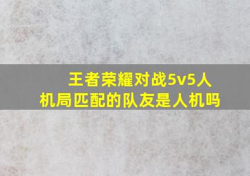 王者荣耀对战5v5人机局匹配的队友是人机吗