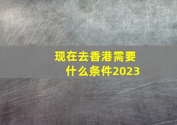 现在去香港需要什么条件2023