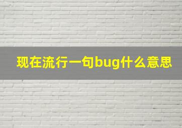 现在流行一句bug什么意思