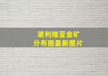 玻利维亚金矿分布图最新图片