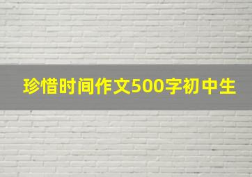 珍惜时间作文500字初中生