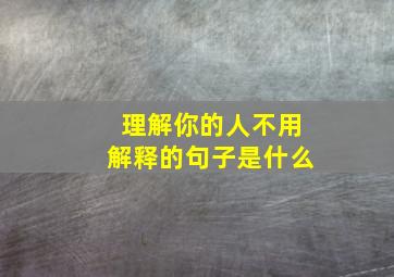 理解你的人不用解释的句子是什么